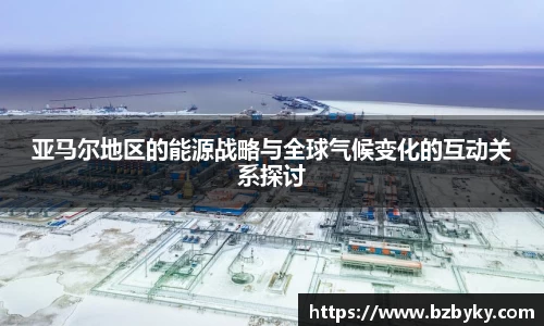 亚马尔地区的能源战略与全球气候变化的互动关系探讨